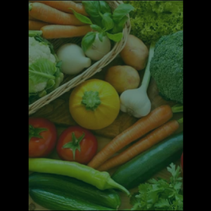 vegetable_original_copy_2